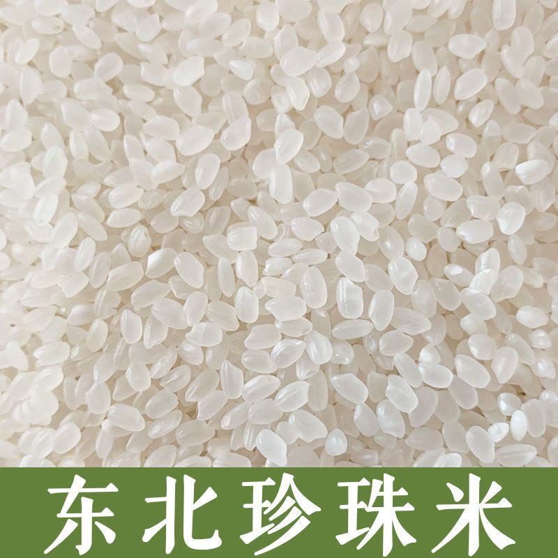 了解营口市鲅鱼圈的潮汐变化，对渔业和沿海旅游至关重要。接下来，我们将通过对比分析和实际案例，详细解读如何利用潮汐信息优化当地经济活动。