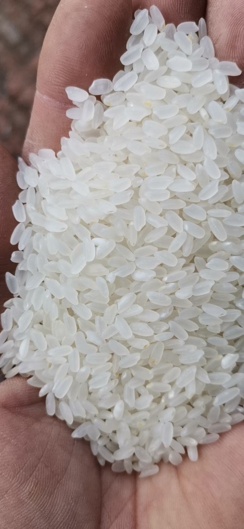 了解营口市鲅鱼圈潮汐变化，让生活更轻松