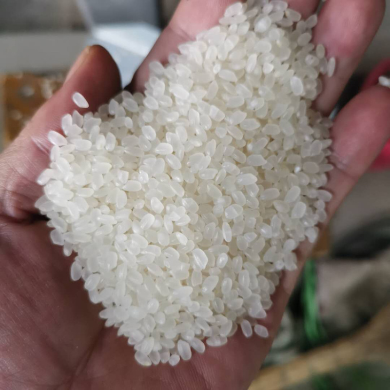 北大荒集团产品大盘点：带你了解最新商品